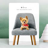 "Executive Pet" - Retired Holiday Cards in Charcoal by Pine Street Creative - Front
