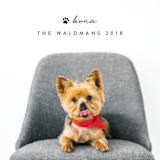 "Executive Pet" - Retired Holiday Cards in Charcoal by Pine Street Creative - Close-Up