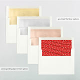 "The Most Wonderful" - Retired Holiday Cards in Snowflake by GeekInk Design - Envelope Liners