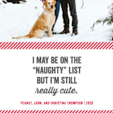 "Still Cute" - Retired Holiday Cards in Cherry by Kerry Doyle - Close-Up