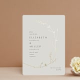 "Vine Wrap" - Save the Dates in Cotton by Amy Kross - Front