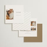 "Idyllic" - Save the Dates in Sugar by Jessica Williams - Back of Card Options