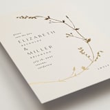 "Vine Wrap" - Save the Dates in Cotton by Amy Kross - Detail