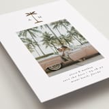 "Palm Tree" - Save the Dates in Coconut by Heather Schertzer - Detail