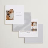"Square Portrait" - Save the Dates in Mist by Dana Duricekova - Back of Card Options