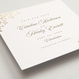 "Midsummer" - Save the Dates in Chiffon by Kristie Kern - Detail