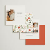 "Fleur" - Save the Dates in Verona Sunset by Sarah Knight - Back of Card Options