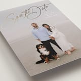 "Sweetest Love" - Save the Dates in Snow by Lauren Chism - Detail