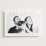 "Delighted" - Save the Dates in Sugar by Jessica Williams - Front
