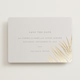 "Gilded Palm" - Save the Dates in Sand by Melinda Denison - Front