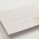 "Gilded Palm" - Save the Dates in Sand by Melinda Denison - Detail