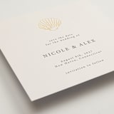 "Simple Seashell" - Save the Dates in Sand by Hannah Bowman - Detail