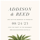 "Party in Paradise" - Save the Dates in Pineapple by Erin Hodges - Detail