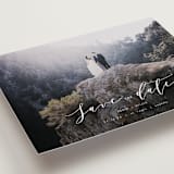 "Ever After" - Save the Dates in Cotton by AK Graphics - Detail
