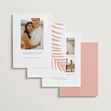 "Meet Us In Miami" - Save the Dates in Blush by Laura Hamm - Back of Card Options
