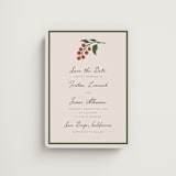 "Tomato Vine" - Save the Dates in Sand by Katharine Watson - Front