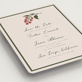 "Tomato Vine" - Save the Dates in Sand by Katharine Watson - Detail