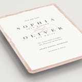 "First Love" - Save the Dates in Blush by Pixel and Hank - Detail