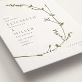 "Vine Wrap" - Letterpress Save The Dates in Pistachio by Amy Kross - Detail