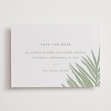 "Gilded Palm" - Letterpress Save The Dates in Mint by Melinda Denison - One Color