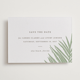 "Gilded Palm" - Letterpress Save The Dates in Mint by Melinda Denison - Two Color