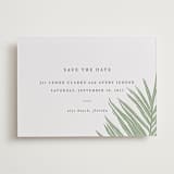 "Gilded Palm" - Letterpress Save The Dates in Mint by Melinda Denison - Two Color