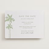 "Shoreline Elegance" - Letterpress Save The Dates in Tea Green by Lucrecia Caporale - One Color