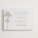 "Shoreline Elegance" - Letterpress Save The Dates in Tea Green by Lucrecia Caporale - One Color