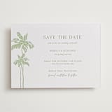"Shoreline Elegance" - Letterpress Save The Dates in Tea Green by Lucrecia Caporale - Two Color