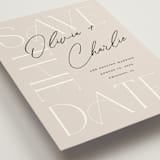 "Sublime" - Save the Dates in Shell by Pixel and Hank - Detail