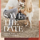 "Galeria" - Save the Dates in Autumn Desert by Kelly Schmidt - Detail