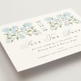 "Hydrangea Hedge" - Save the Dates in Nantucket by Susan Zinader - Detail