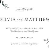 "Fresh Sage" - Save the Dates in Olive by Christie Kelly - Detail