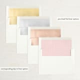 "Love in the City - Washington DC" - Save the Dates in Petal by Erin Deegan - Envelope Liner Options
