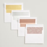 "A fun ride" - Save the Dates in Snow by Yaling Hou Suzuki - Envelope Liner Options