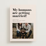 "Must Love Dogs" - Save the Dates in Ecru by Annie Clark - Front