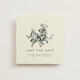 "Elegance Illustrated" - Save the Dates in Cream by Phrosné Barwood - Front