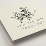 "Elegance Illustrated" - Save the Dates in Cream by Phrosné Barwood - Detail