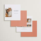 "The Big Picture" - Save the Dates in Ivory by Minted - Back of Card Options