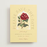 "Enchanted Rose from Disney's Beauty & The Beast" - Save the Dates in Minosa by Leah Bisch - Front