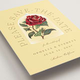 "Enchanted Rose from Disney's Beauty & The Beast" - Save the Dates in Minosa by Leah Bisch - Detail