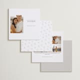 "Simple Details" - Save the Dates in Tuxedo by Pixel and Hank - Back of Card Options
