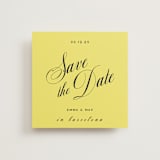 "In Lights" - Save the Dates in Lemon by Ani Somi - Front