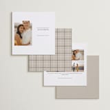 "Daisies" - Save the Dates in Ink by Wildfield Paper Co - Back of Card Options