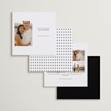 "Photo Snap + Penned Names" - Save the Dates in Noir by Cleghorn Creative - Back of Card Options
