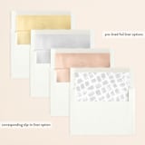 "Come Away" - Save the Dates in Cloud by Jody Wody - Envelope Liner Options