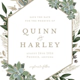 "Succulent Surround" - Save the Dates in Powder by Susan Moyal - Detail