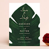 "Palm" - Save the Dates in Leaf by Kaydi Bishop - Front