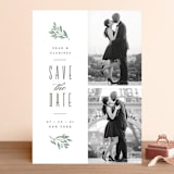 "botanica" - Save the Dates in Sage by Hooray Creative - Front
