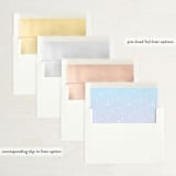 "Disco" - Save the Dates in Sherbet by The Carillos - Envelope Liner Options